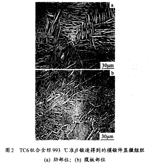 TC6鈦合金經993 ℃準鍛造得到的模鍛件顯微組織(a) 肋部位；(b) 腹板部位