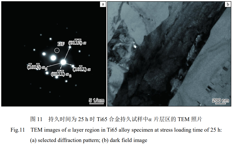 1773199781694716.png 11.png