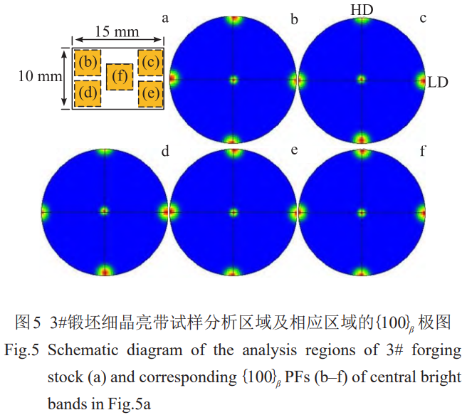 1773284777536794.png 5.png